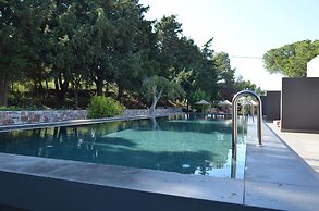 Cook's Club Ialysos Rhodes