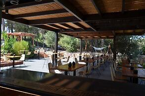 Cook's Club Ialysos Rhodes