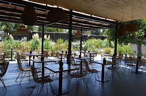 Cook's Club Ialysos Rhodes