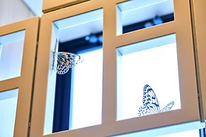 Okinawa Prince Hotel Ocean View Ginowan