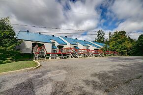 Le Cozy-Condo à louer à Stoneham