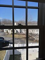 Surrey-Williamson Inn