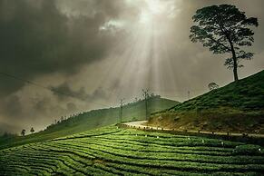 Tea Terrain Resorts & Spa