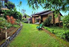 Tea Terrain Resorts & Spa