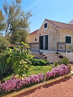 Beach House Calendula