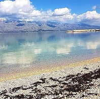 Beach House Calendula