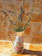 Beach House Calendula