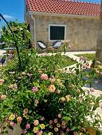 Beach House Calendula