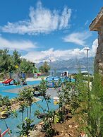 Beach House Calendula