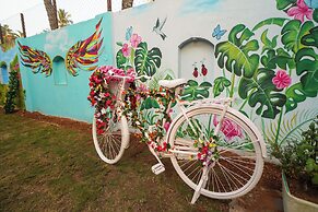 TreeHouse MARS Beach Cottages