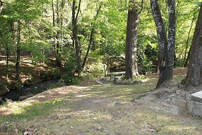 Country House In The Woods With River