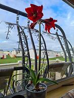 Cosy Static Caravan on East Mersea Island