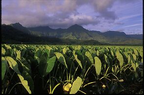 Hanalei Dream 5 Bedroom Home by RedAwning