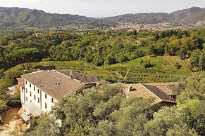Alloro Grillo