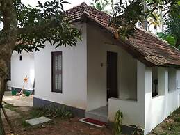 Piggy Hostel Varkala