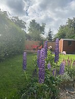 Charming Cardoon Cottage in Beautiful Village