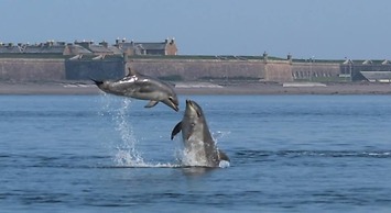 Charming 2-bed Cabin in Inverness, Scotland