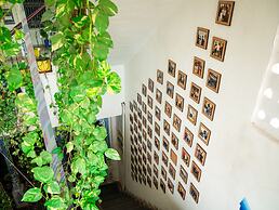 Dreamyard Udaipur - Hostel