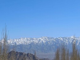 Hotel Malik Residency