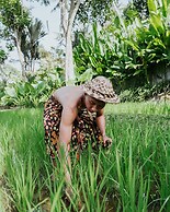 Exceptional 9BR Incredible Jungle View, River Access