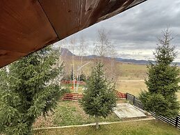 Stunning 4-bed Chalet in Bran With Superb Panorama