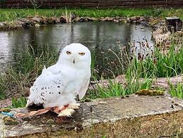 Bespoke 1 Bed Cottage in Dunbeath Village