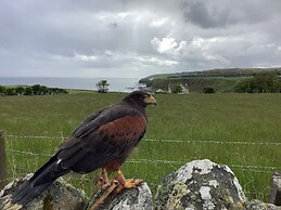 Bespoke 1 Bed Cottage in Dunbeath Village