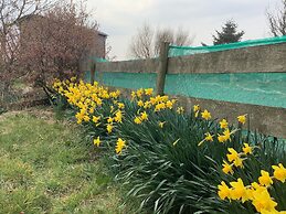 Bespoke Hand Built Shepherds Hut in Dunbeath