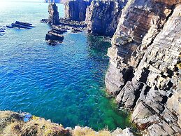Bespoke Hand Built Shepherds Hut in Dunbeath