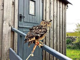 Bespoke Hand Built Shepherds Hut in Dunbeath