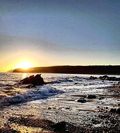 Bespoke Hand Built Shepherds Hut in Dunbeath