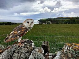 Bespoke Hand Built Shepherds Hut in Dunbeath