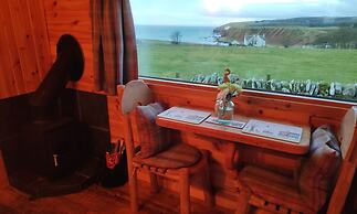 Bespoke Hand Built Shepherds Hut in Dunbeath
