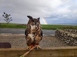 Bespoke Hand Built Shepherds Hut in Dunbeath