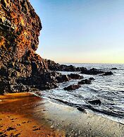 Bespoke Hand Built Shepherds Hut in Dunbeath