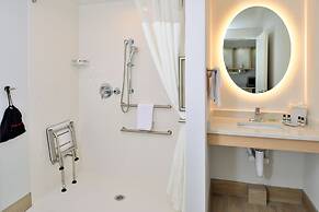 TownePlace Suites by Marriott Asheville Downtown