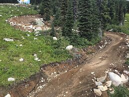 Chalet Monashee-brand New High End W/amazing Views