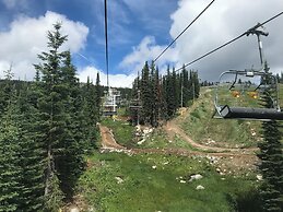 Chalet Monashee-brand New High End W/amazing Views