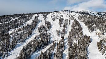 Chalet Monashee-brand New High End W/amazing Views