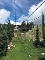 Chalet Monashee-brand New High End W/amazing Views