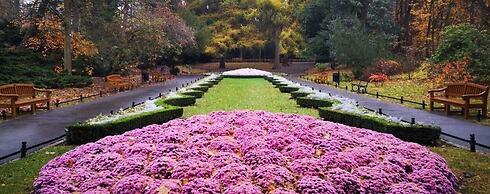 Baltic Gdansk Old Town