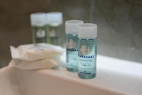 Comfort Suites and Rooms