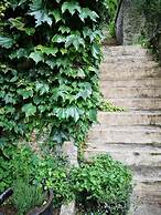 Amazing Loft in Namur