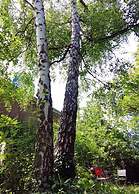 Amazing Loft in Namur