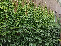 Amazing Loft in Namur