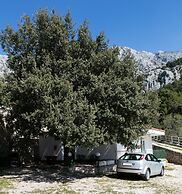 Split Region, Town of Makarska, Nature Park Biokovo With Sky Walk, Pet