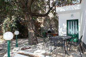 Split Region, Town of Makarska, Nature Park Biokovo With Sky Walk, Pet