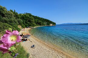 Split Region, Town of Makarska, Nature Park Biokovo With Sky Walk, Pet