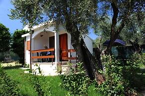 Holiday Apartment Orchidea With Swimming Pool and Private Beach -3