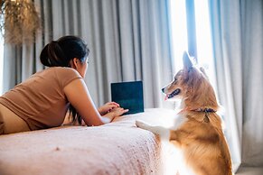 Pelangi 148 Beach Suites